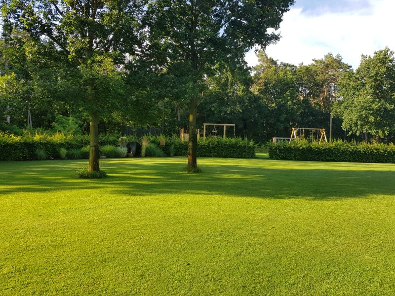 IdeenReichGarten-Beet-Neugestaltung-Garten-Landschaftsbauer-Wagenfeld